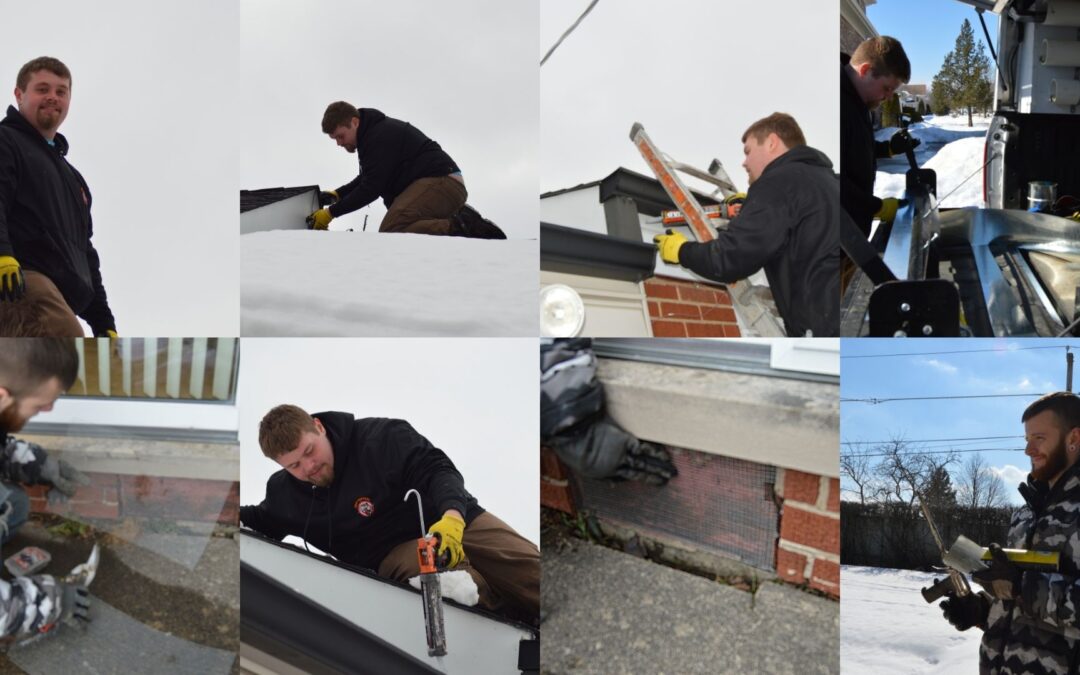 Mice Proofing Takes Us to the Roof!