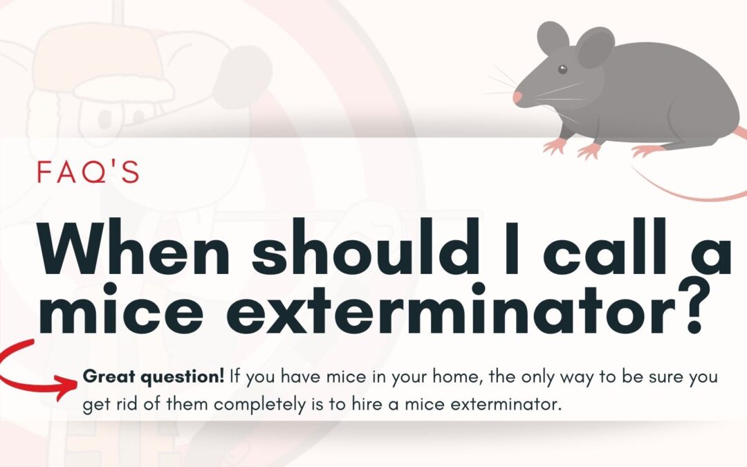 When should I call a mice exterminator?