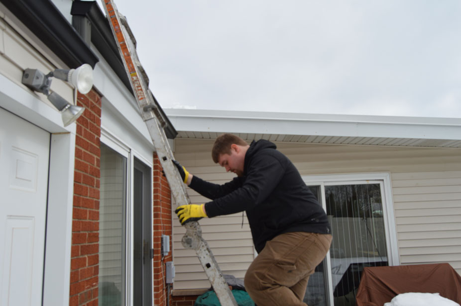 Morton Grove Mouse Removal and Extermination