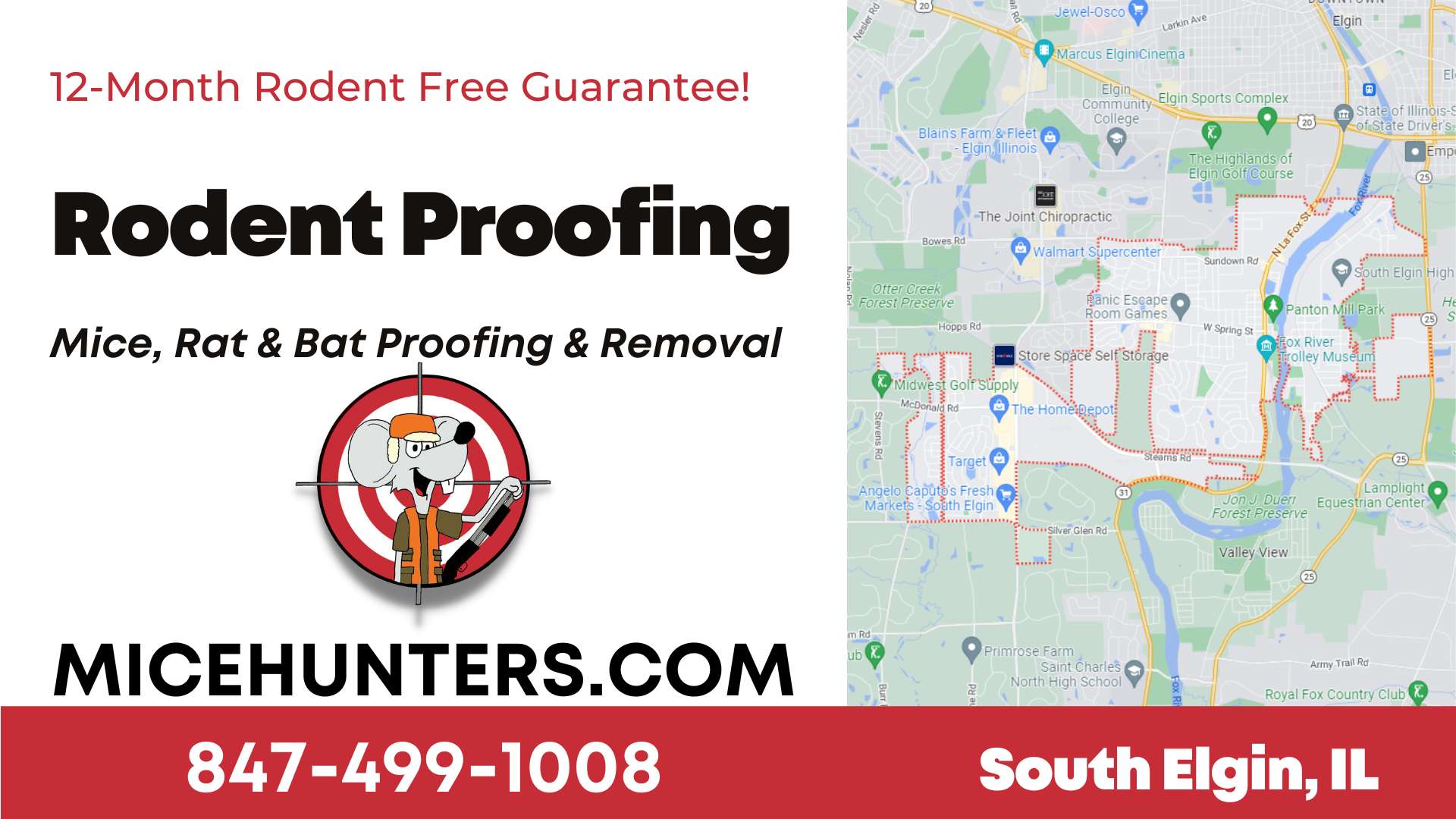South Elgin Mice - Bat - Rat Removal Proofing Service