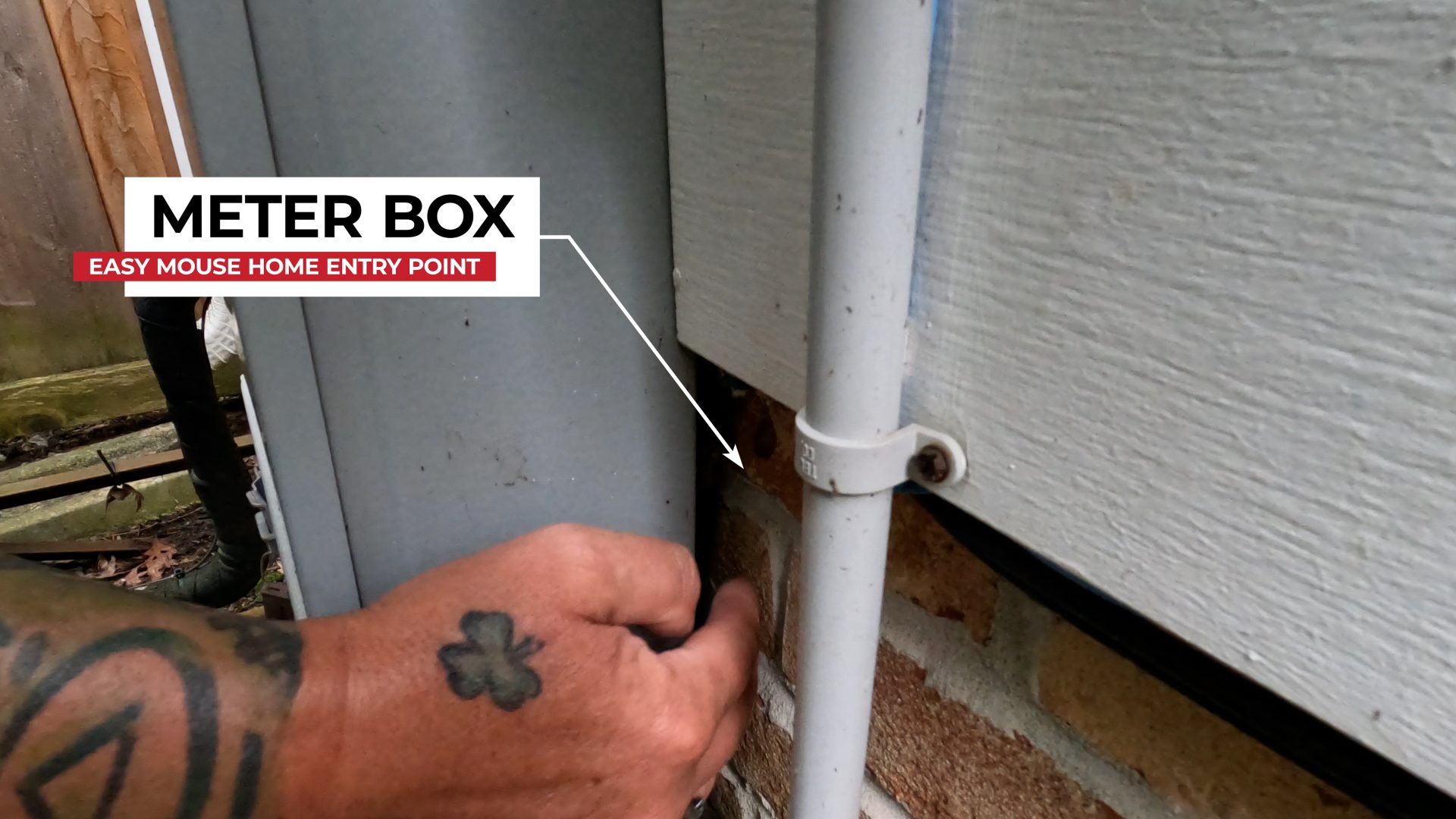 Meter Box - Easy Mouse Entry Point