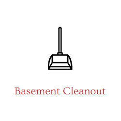 Mouse Poop Cleanup Services
