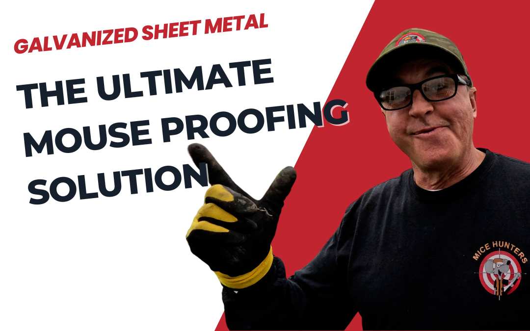 Galvanized Sheet Metal - The Ultimate Mouse Proofing Solution